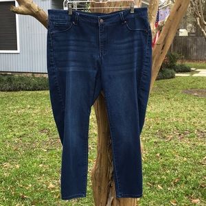 Denim Skinny Jeans Plus